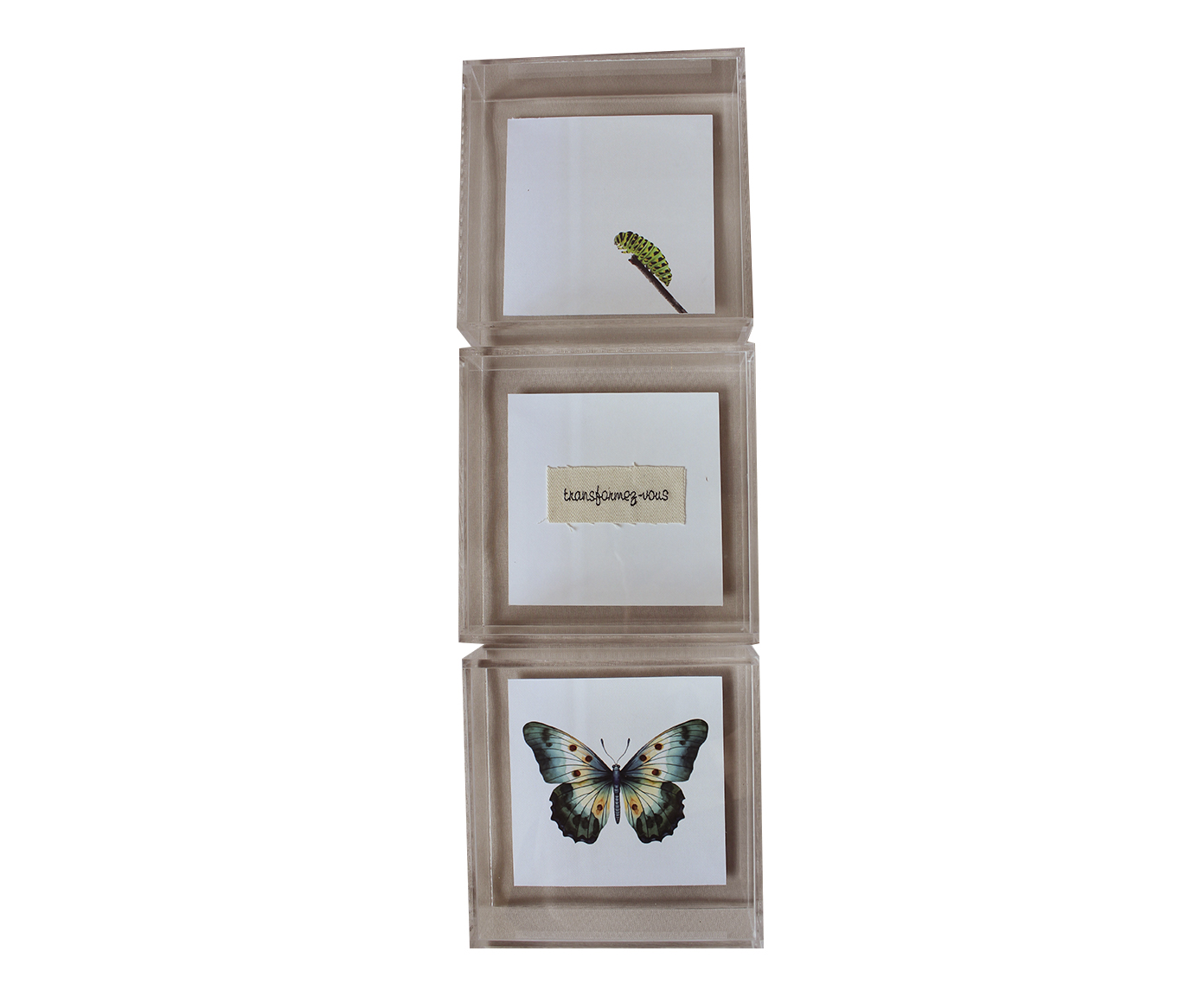 Quadro em Acr&iacute;lico "Conjunto de Metamorfose" - image 0