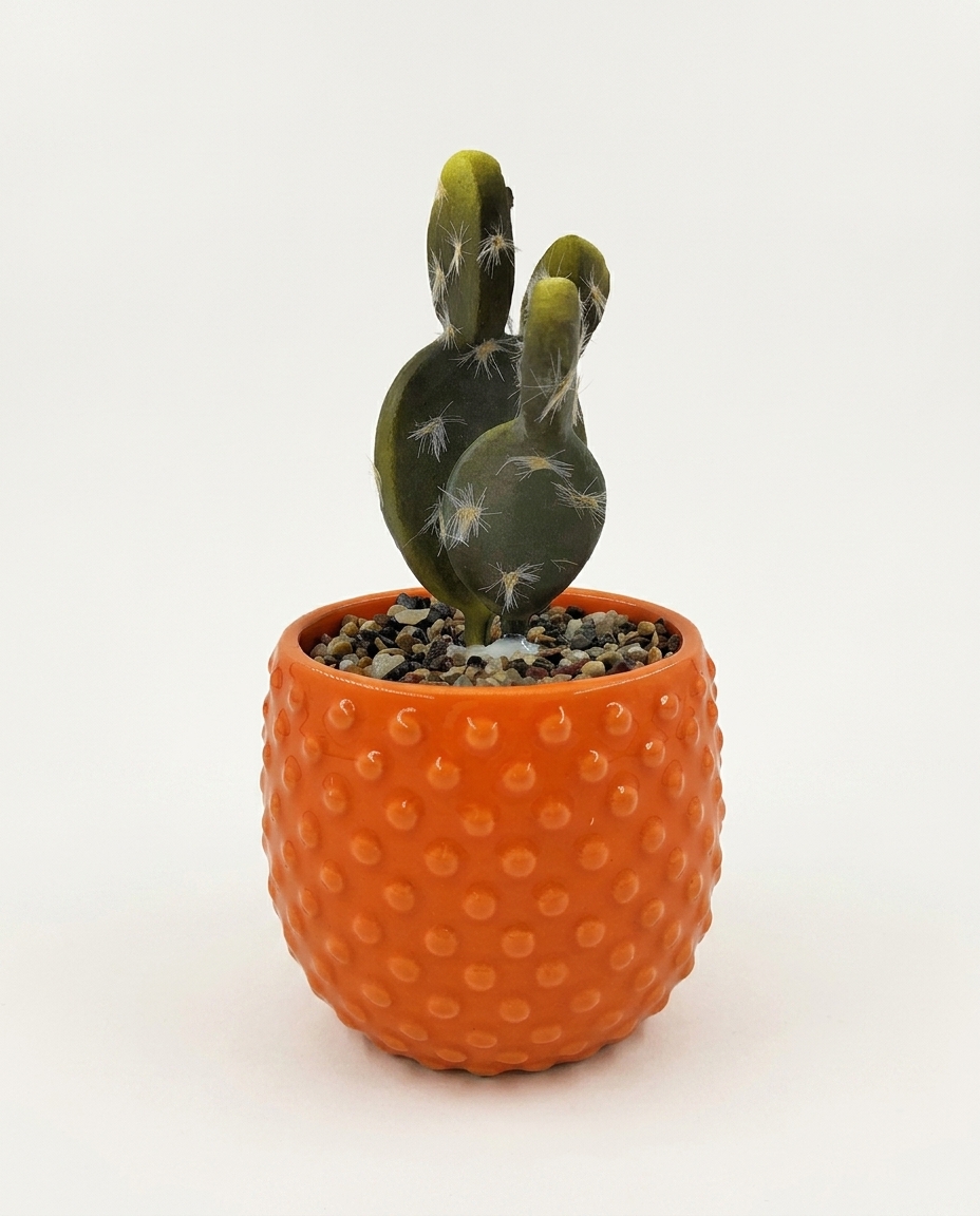 Vaso com Suculenta Laranja image number 3