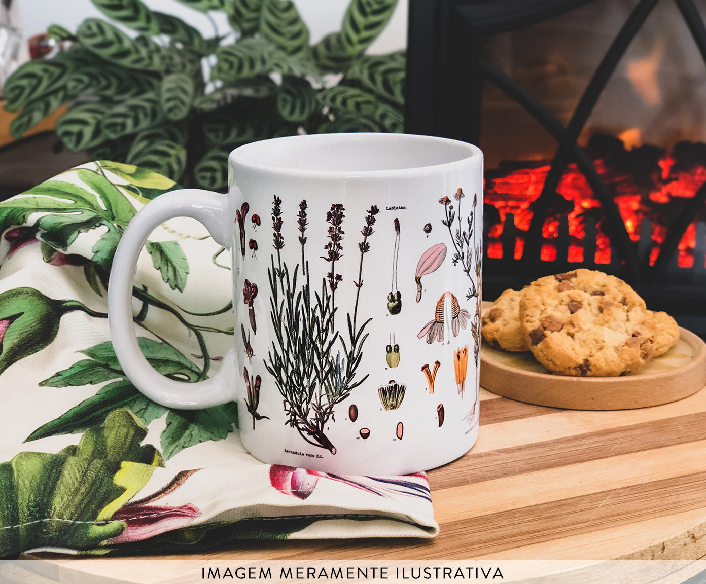 Caneca Herbarium image number 3