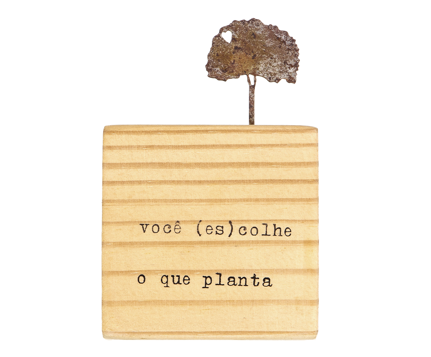Cubo - Voc&ecirc; (Es)Colhe o que Planta - image 0