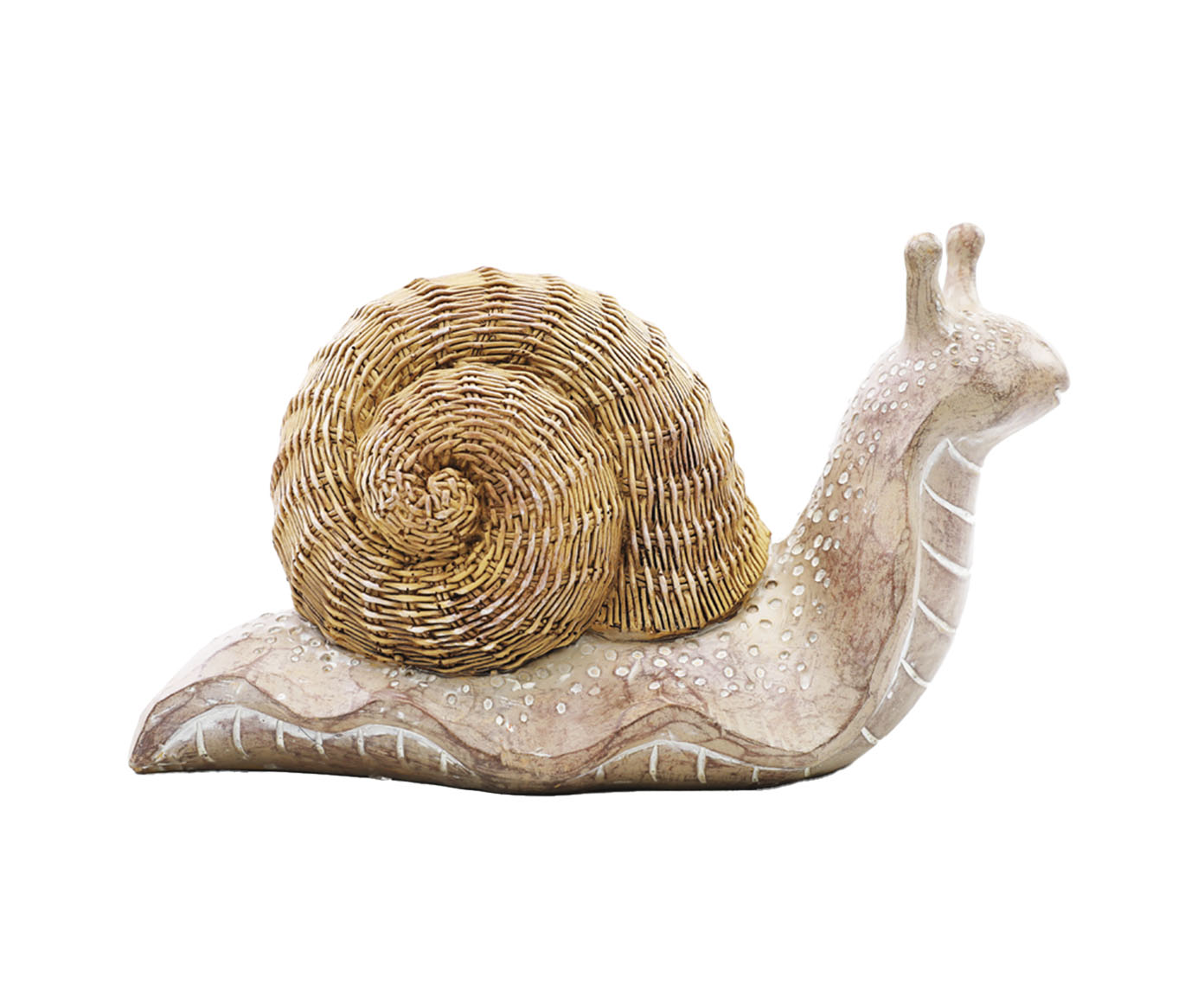 Adorno Caracol II Natural e Branco - image 0