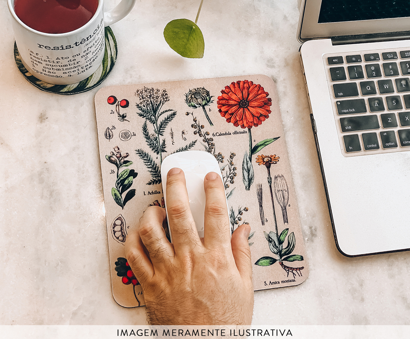 Mousepad Botany - image 1