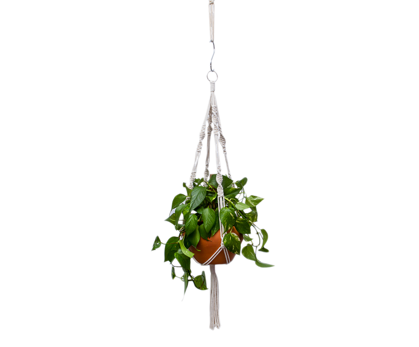 Hanger em Macram&ecirc; Twist Cru - image 0