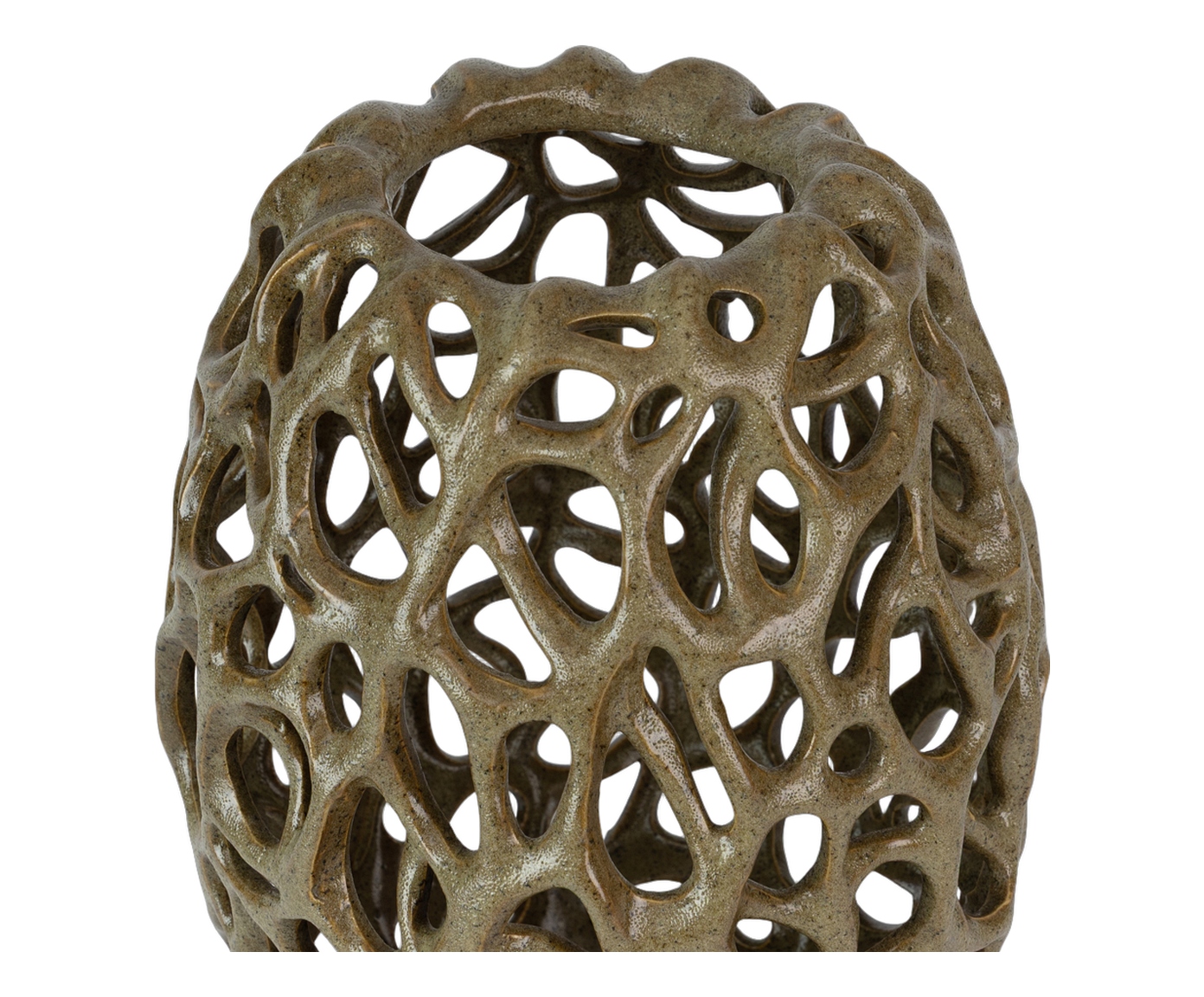 Vaso Ajacopa - image 1
