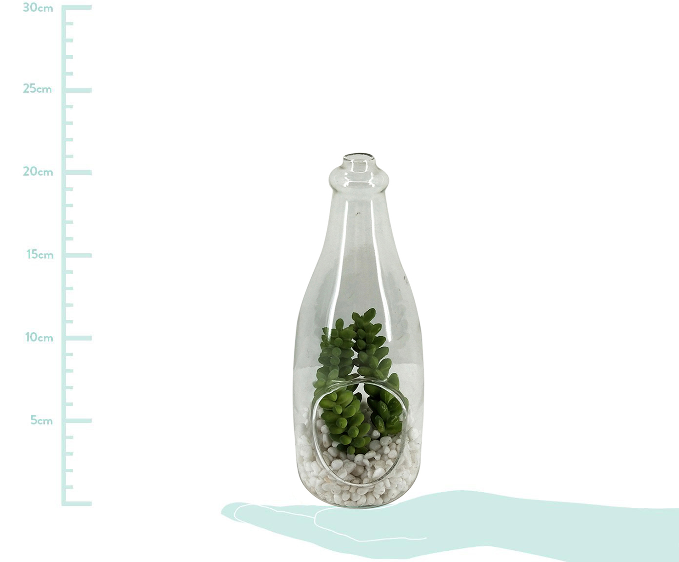 Terr&aacute;rio Maiches - Transparente image number 1