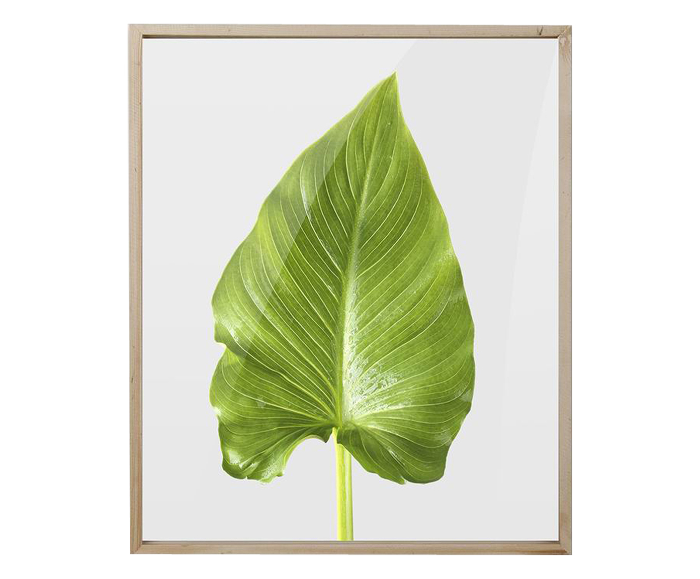 Quadro Folha Joy - image 0