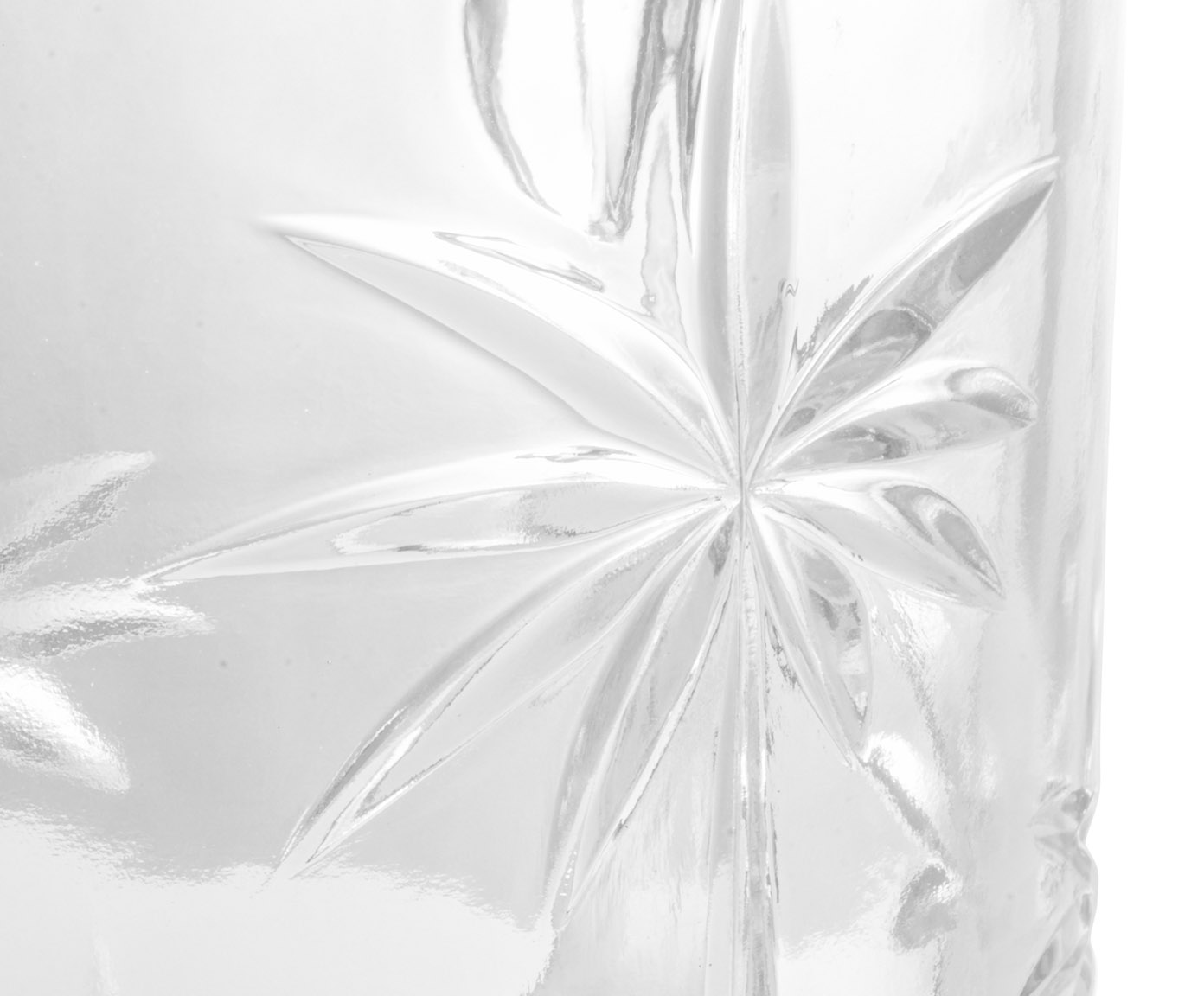 Jarra Palm Tree image number 3