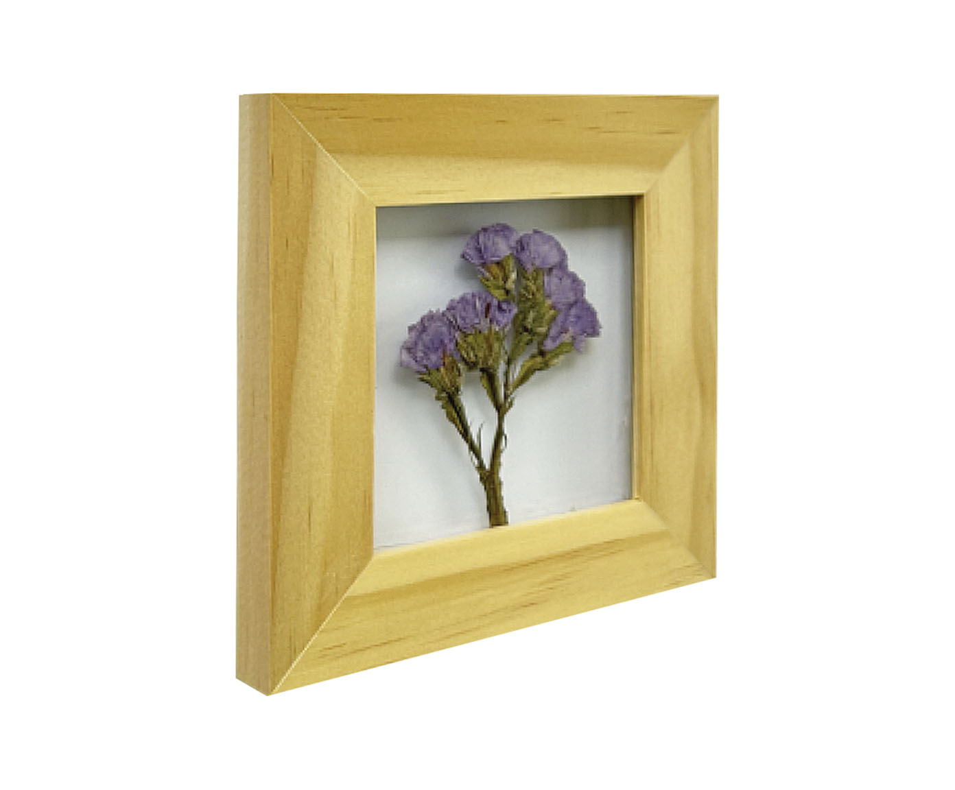 Quadro Statice Pinus image number 1