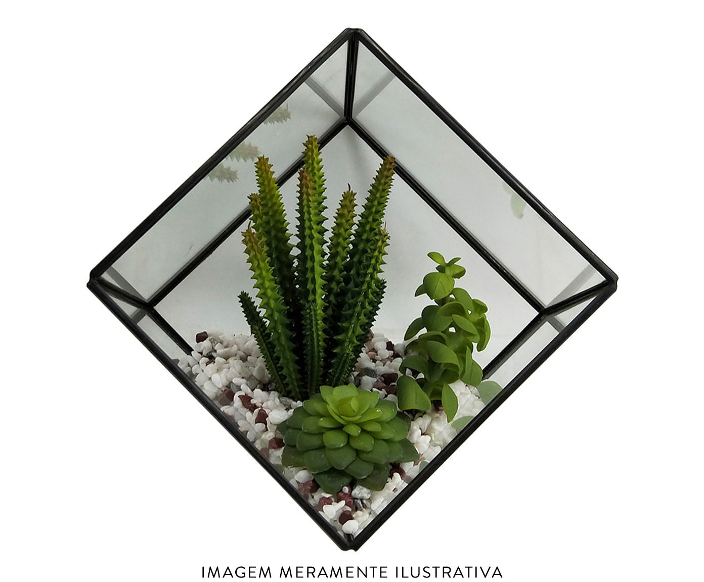 Terr&aacute;rio Sevgi  ll - Transparente image number 1