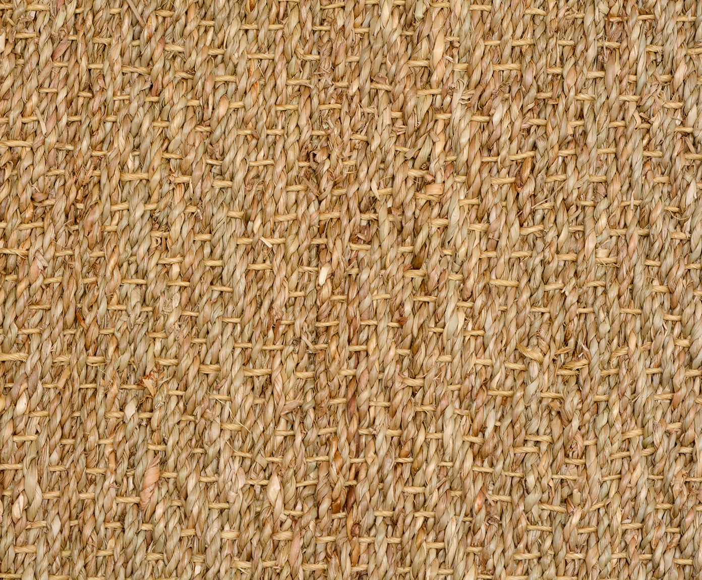 Tapete Debrum Seagrass Espinha Natural image number 2