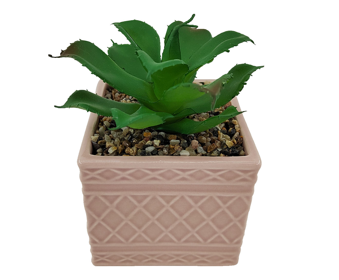 Vaso com Suculenta Rosa - image 0