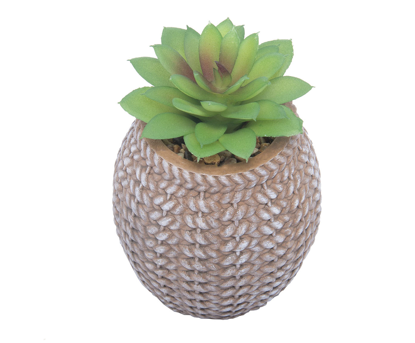 Cachepot Sisal com Suculenta I image number 1