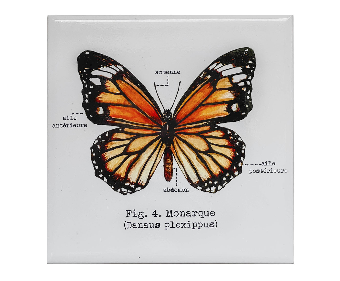 Azulejo Decorativo Borboleta Monarca Aquarela image number 0