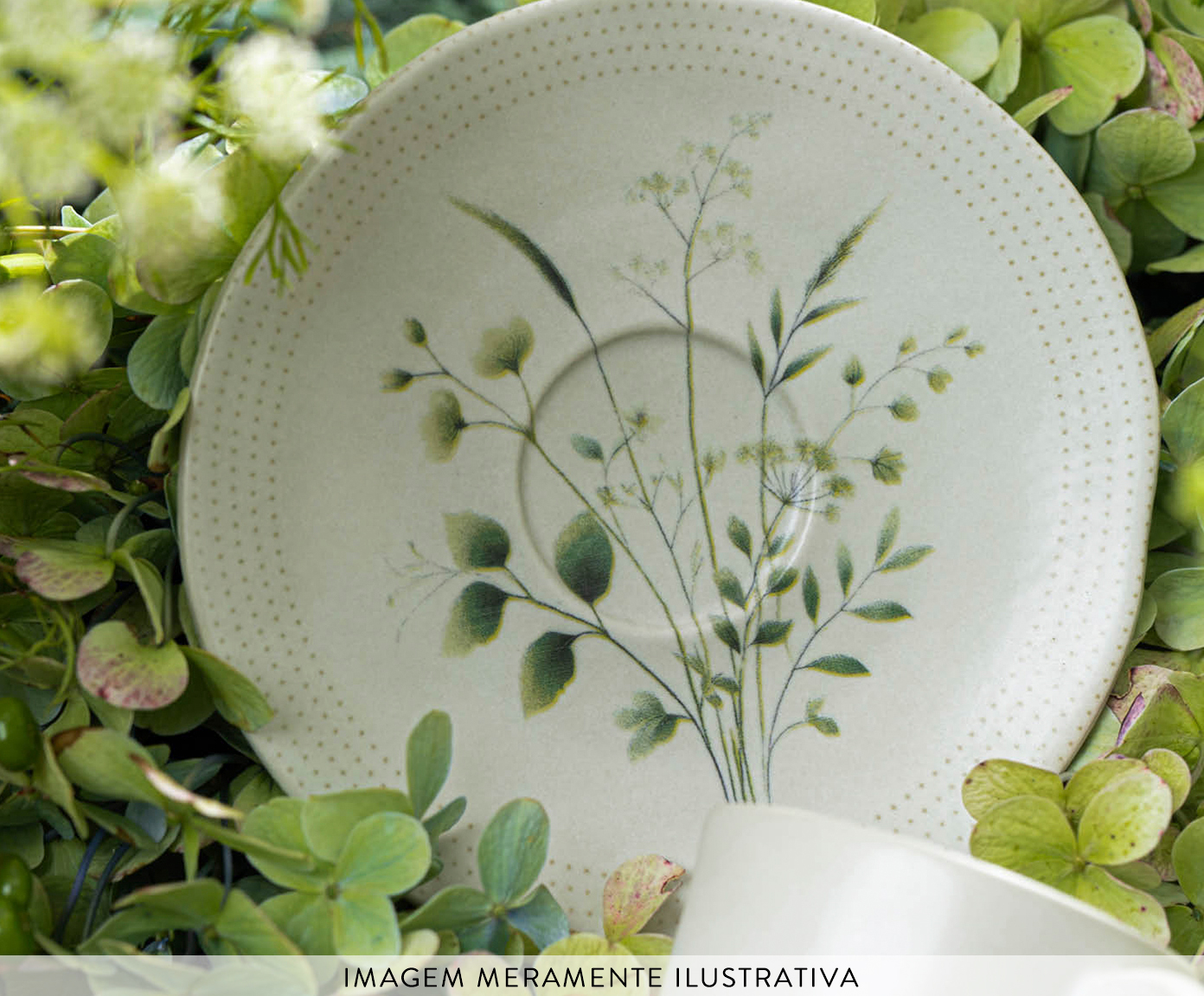 Jogo de X&iacute;caras para Caf&eacute; Org&acirc;nico Ammi Floral image number 1