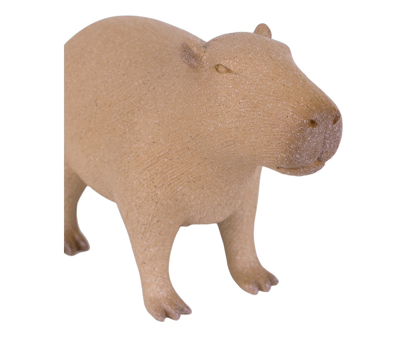 Escultura Capivara Apumayta image number 2