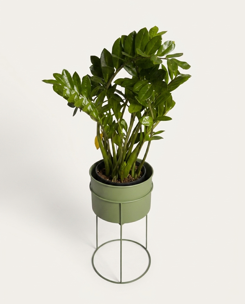 Suporte de Plantas com Vaso Humait&aacute; Verde Oliva - image 1