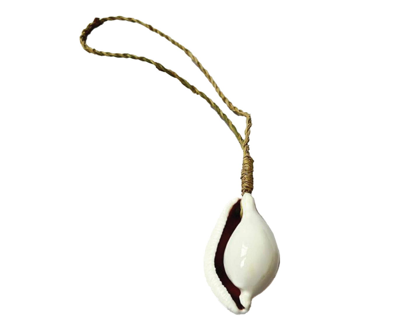 Adorno Decorativo Conchas Lasia image number 0