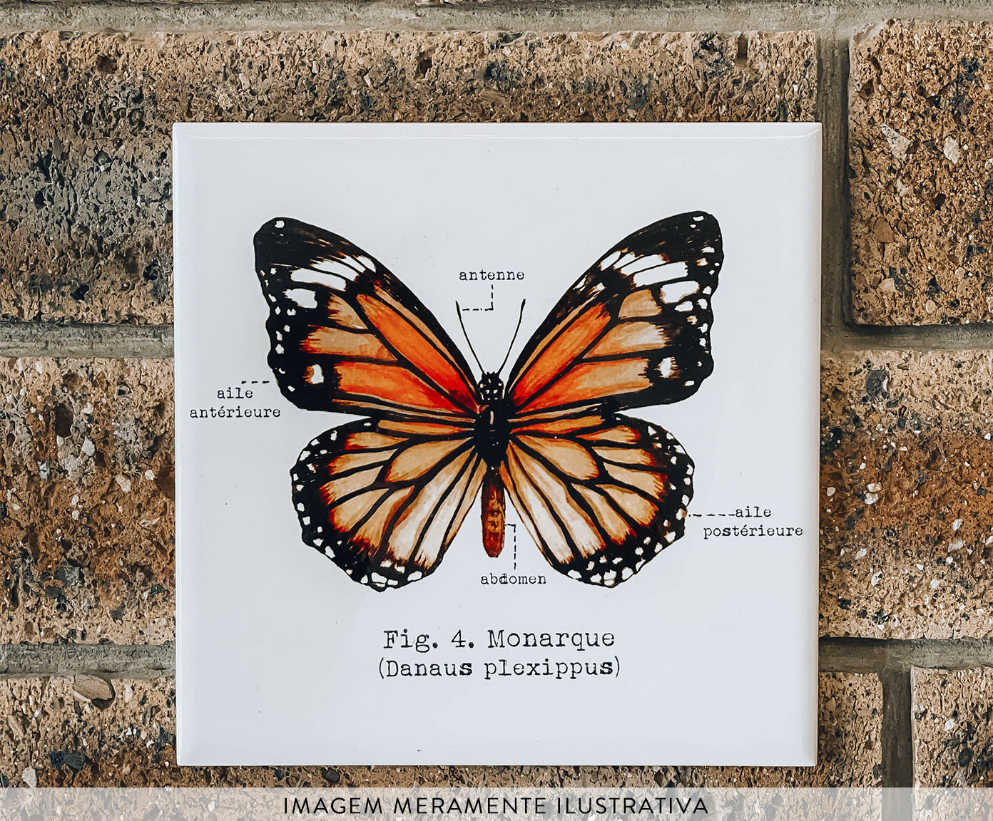 Azulejo Decorativo Borboleta Monarca Aquarela image number 1