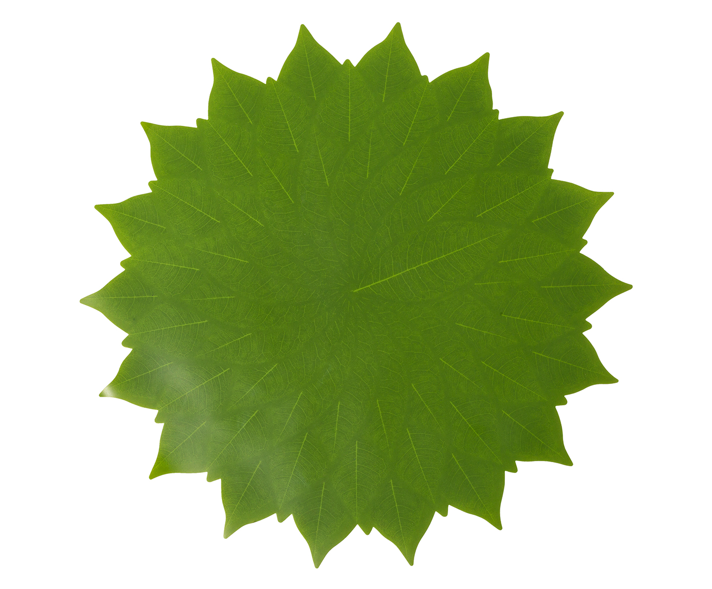 Lugar Americano Diam Folhas  - Verde - image 0