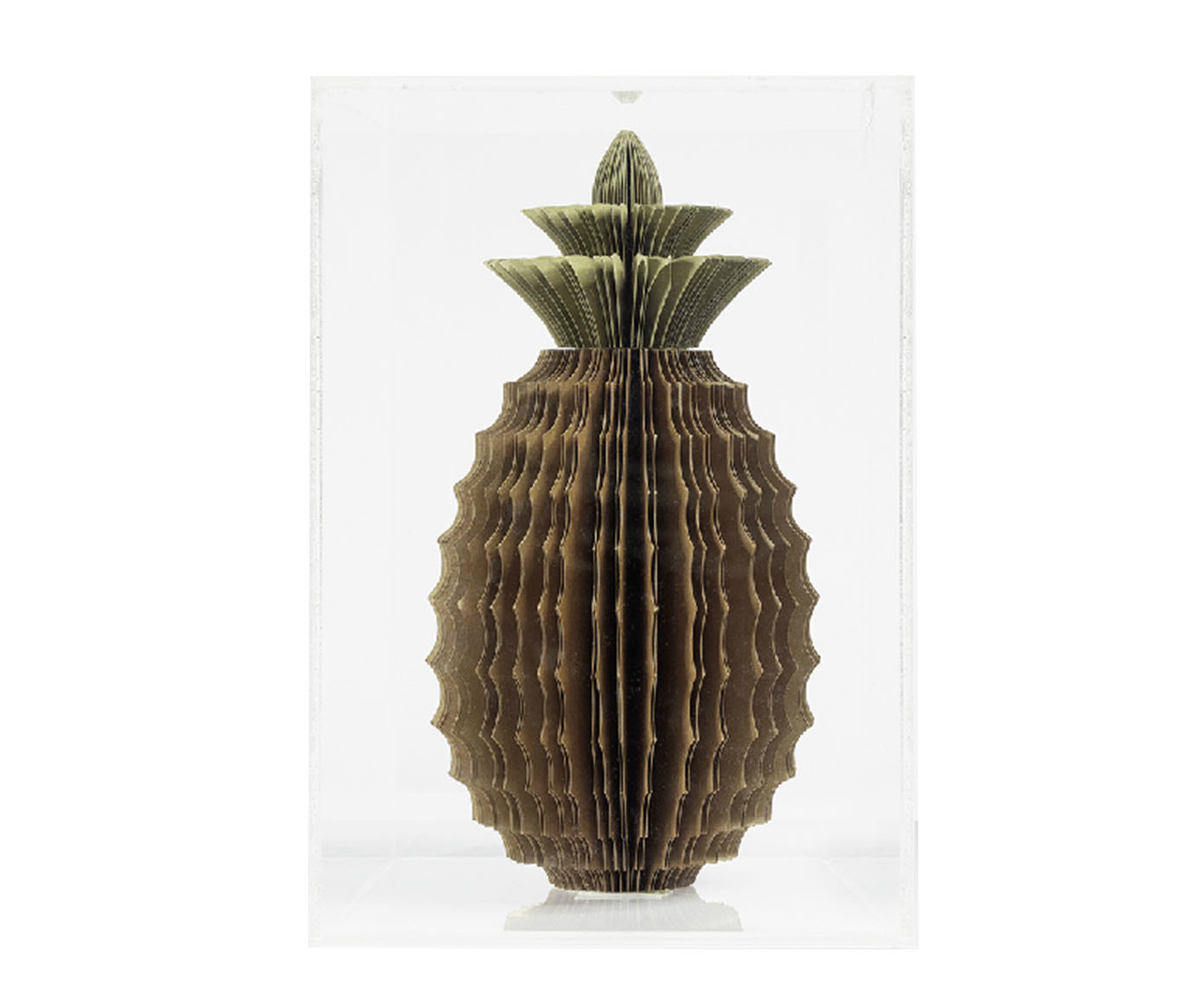 Caixa Decorativa Pinapuru image number 0
