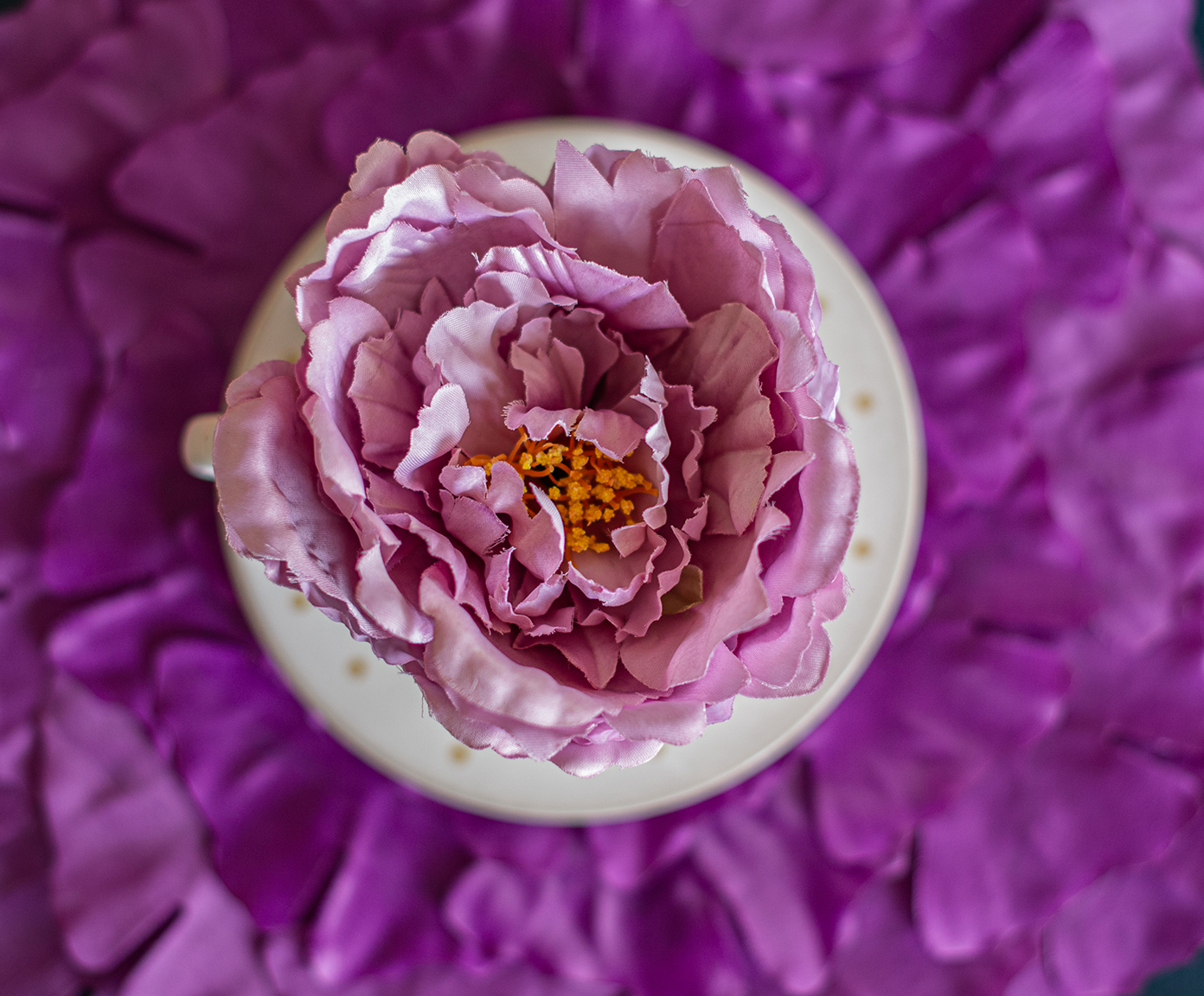 Lugar Americano - Roxo image number 3