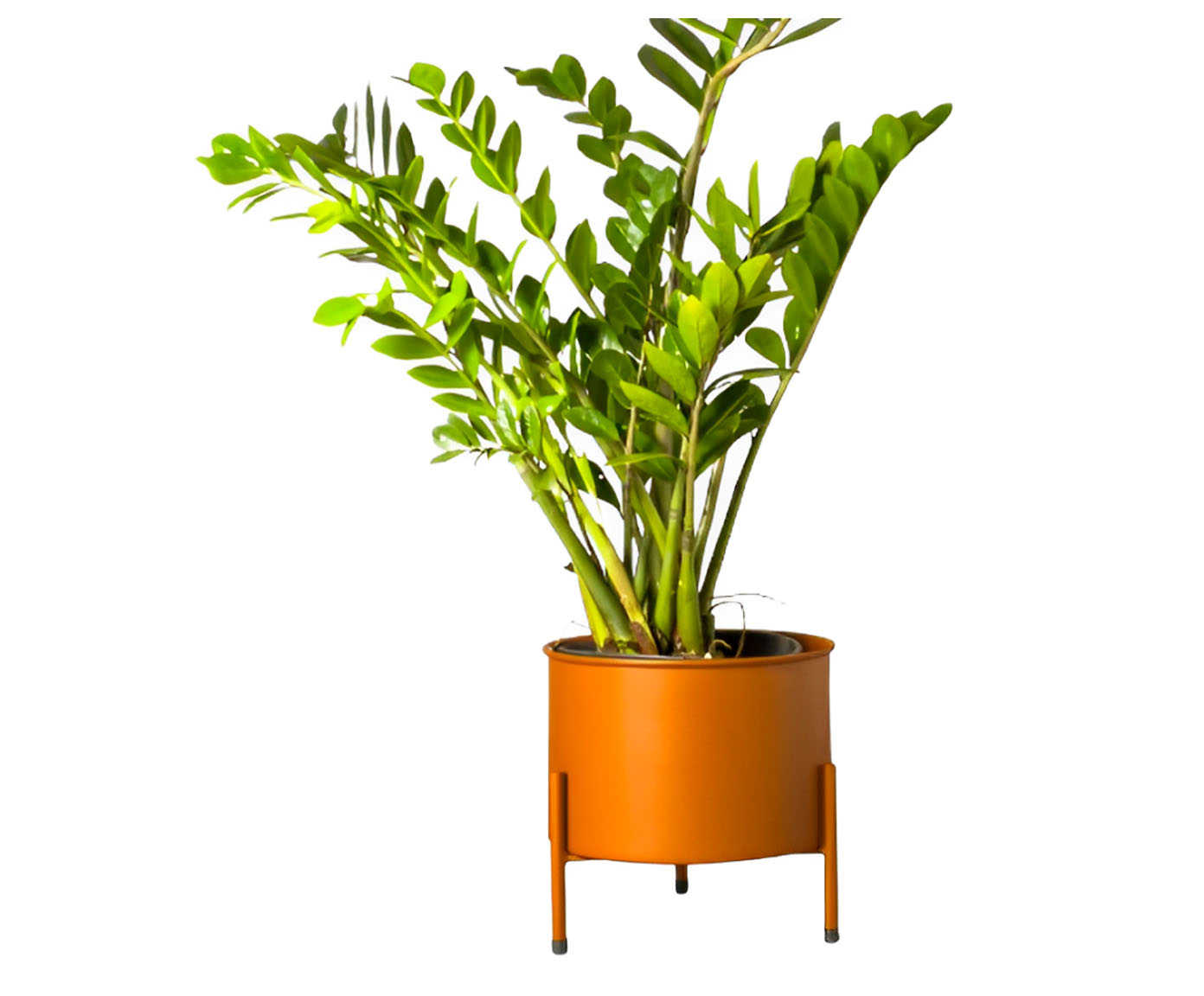 Suporte de Plantas com Vaso Slim Humait&aacute; Terracota - image 0