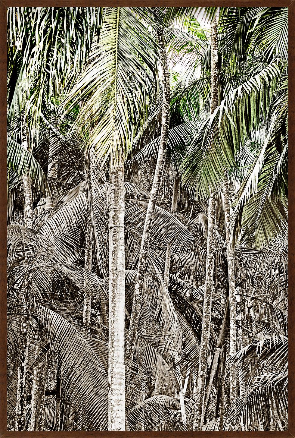 Quadro com Vidro Palmeiras Sienna I - 123X83 image number 0