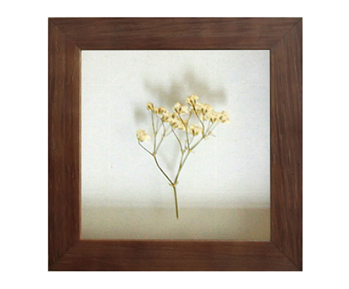 Quadro Mosquitinho Imbuia image number 0