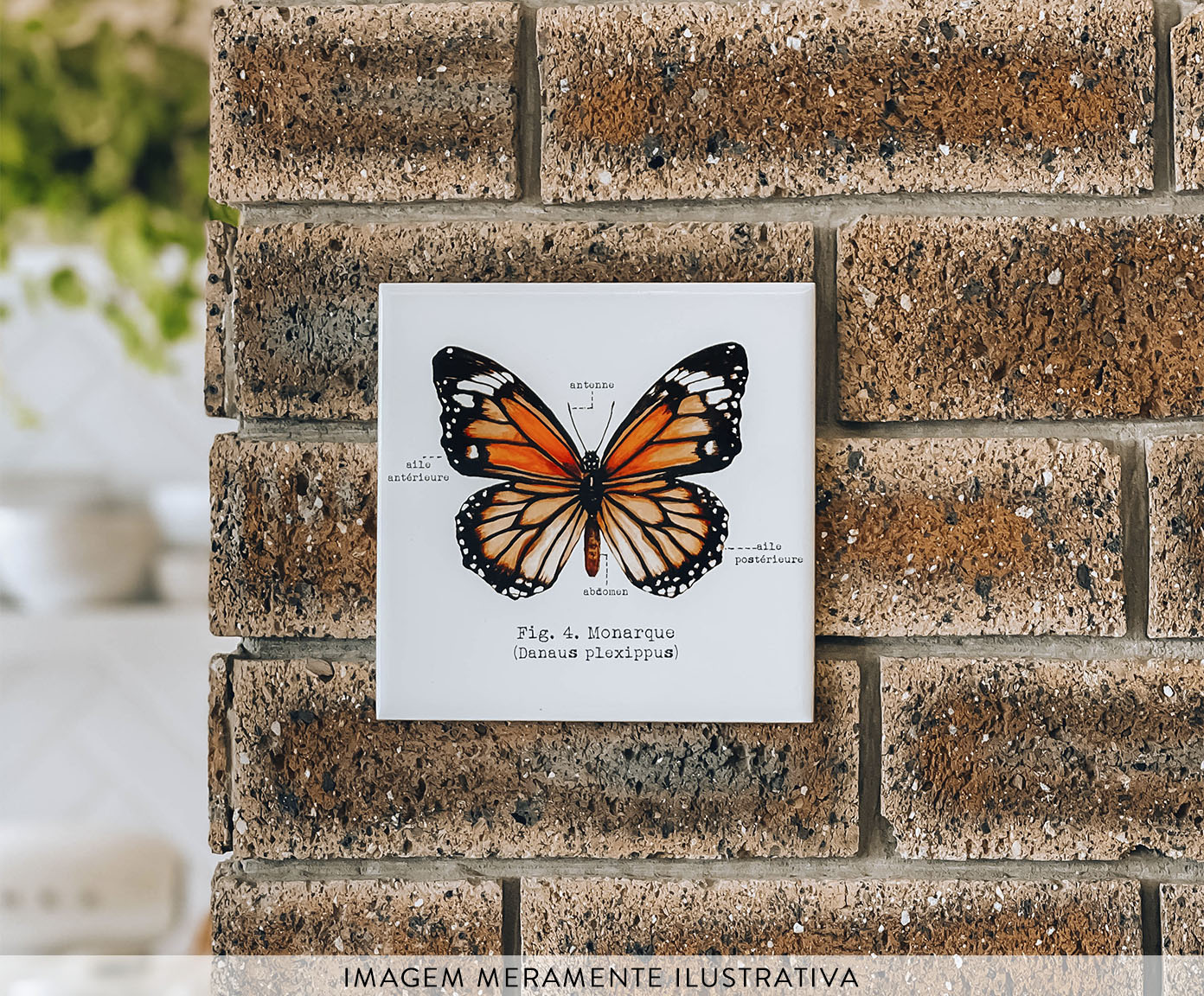 Azulejo Decorativo Borboleta Monarca Aquarela image number 3
