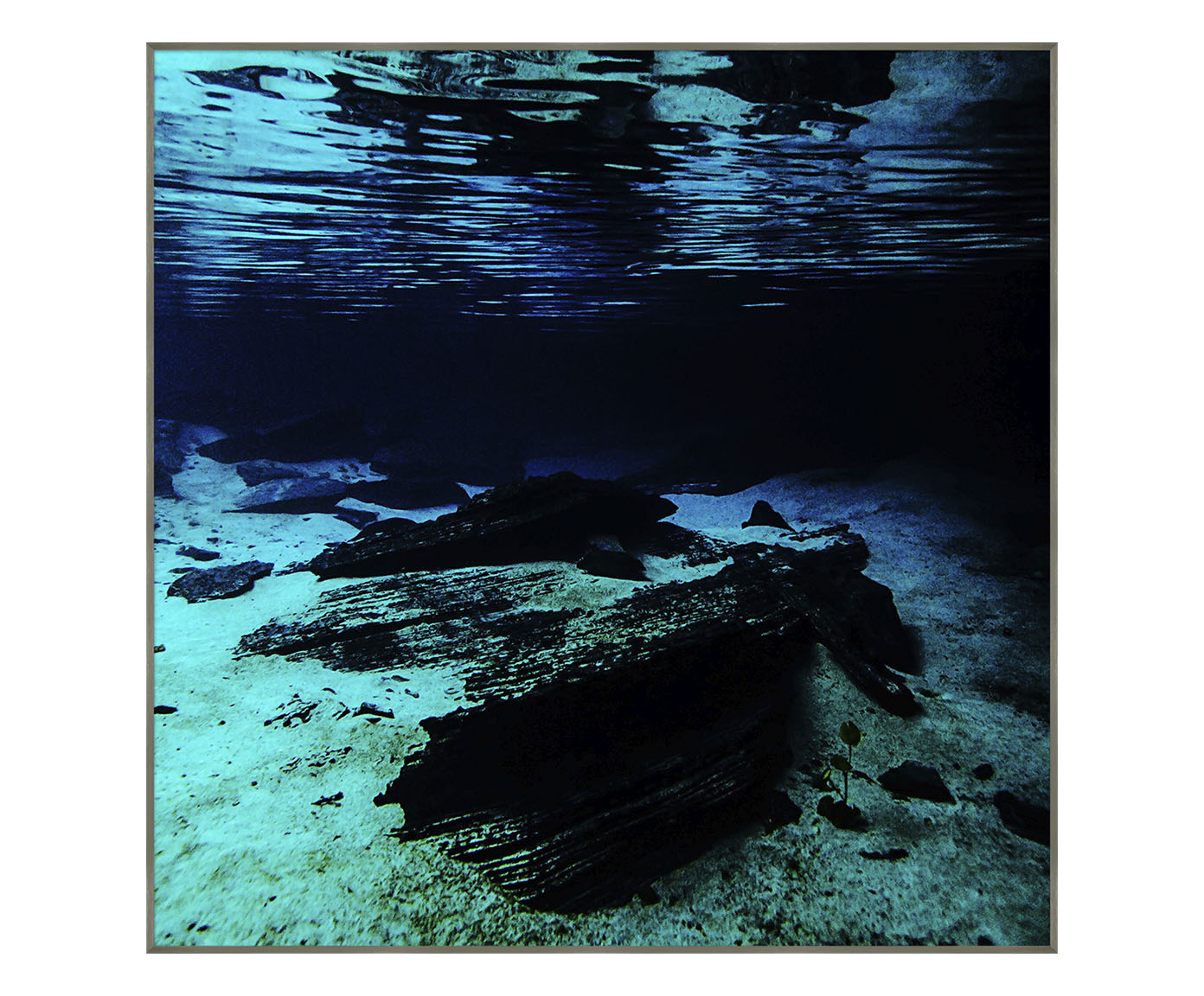 Quadro Jandaia - Reinaldo Giarola - image 0