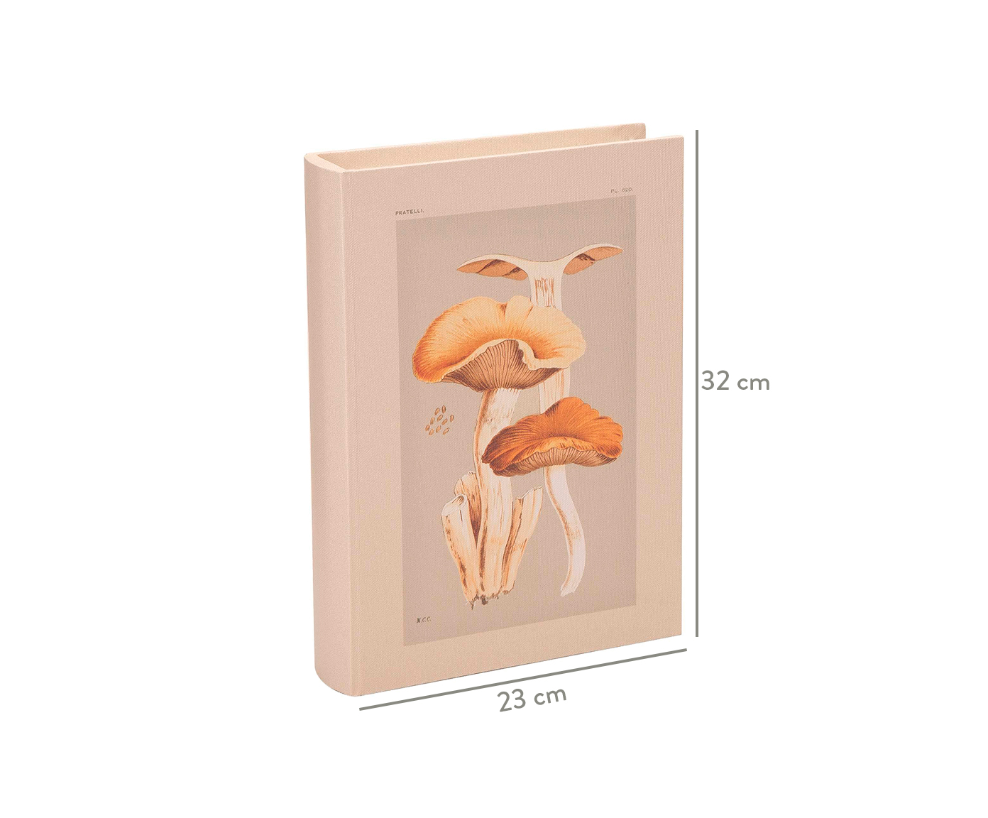 Jogo de Book Box em Canvas Jamil image number 1