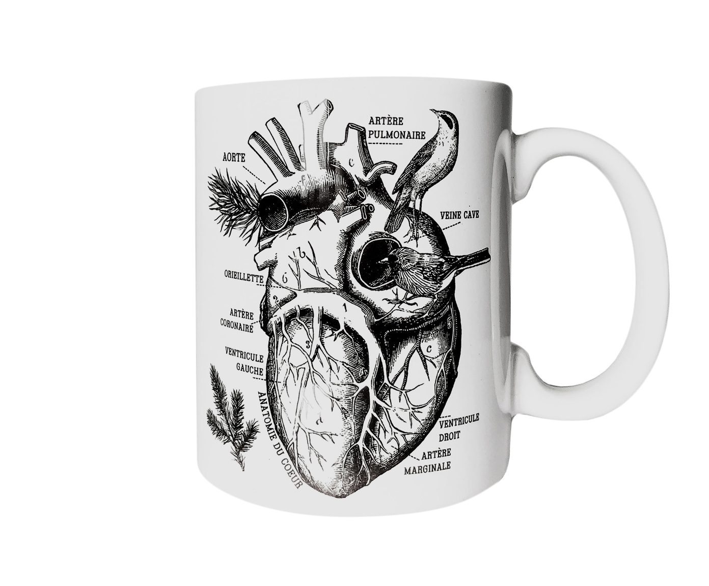 Caneca Cora&ccedil;&atilde;o Anat&ouml;mico - image 0