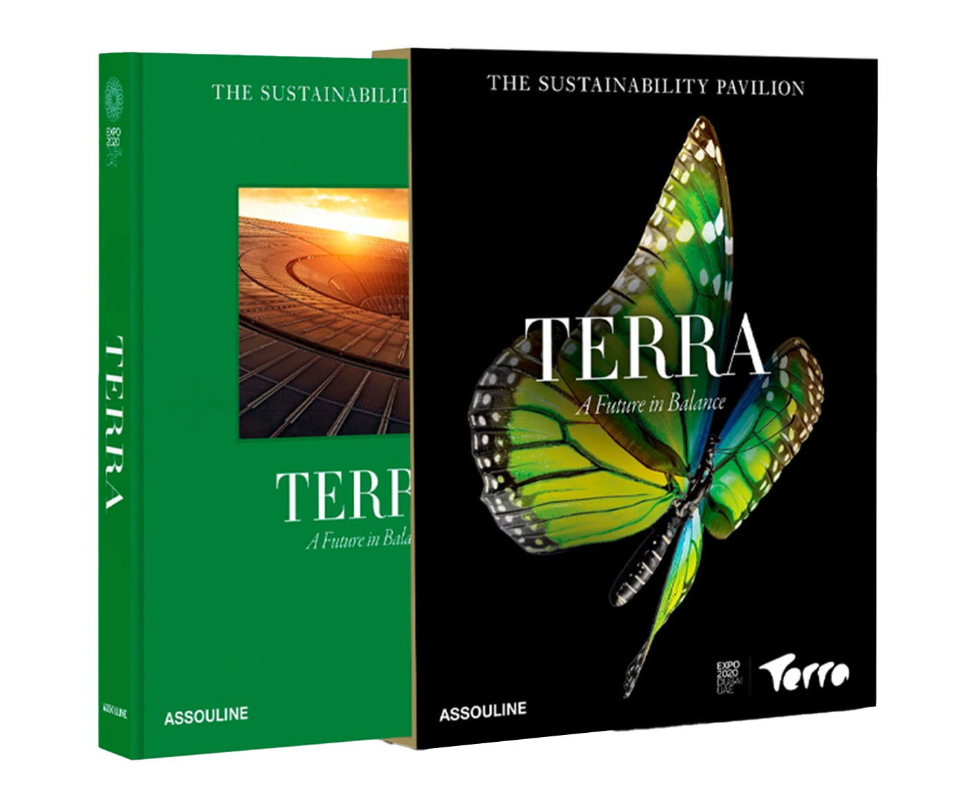 Livro "Expo 2020 Dubai: Terra - The Sustainability Pavilion" - image 0