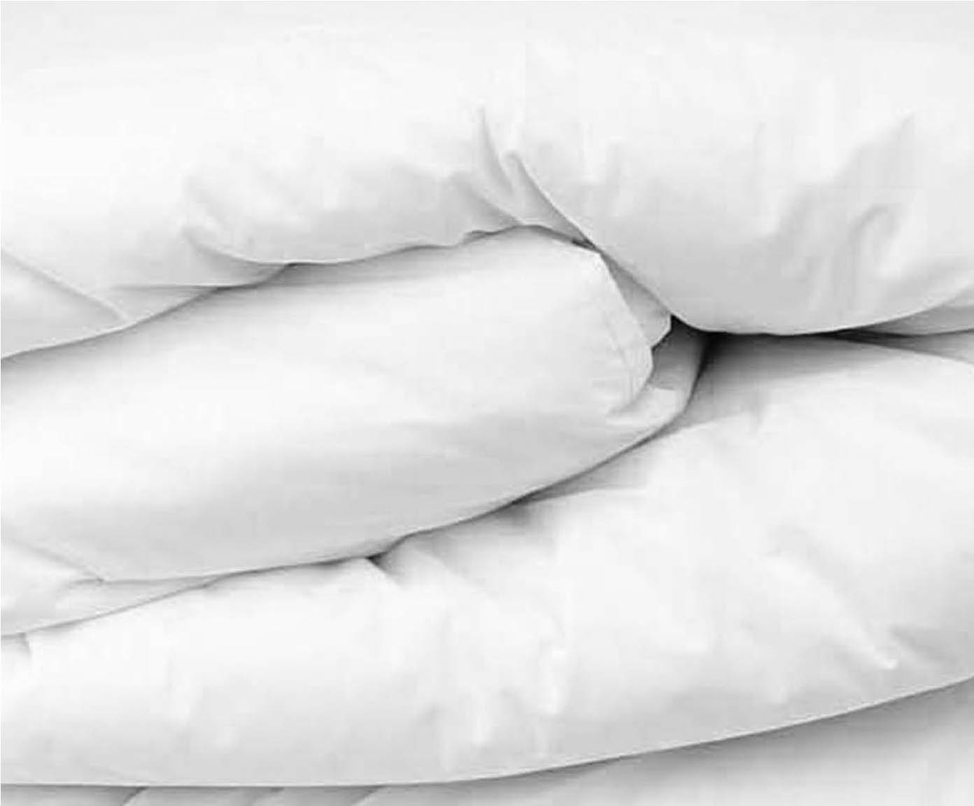 Enchimento de Duvet Branco image number 5