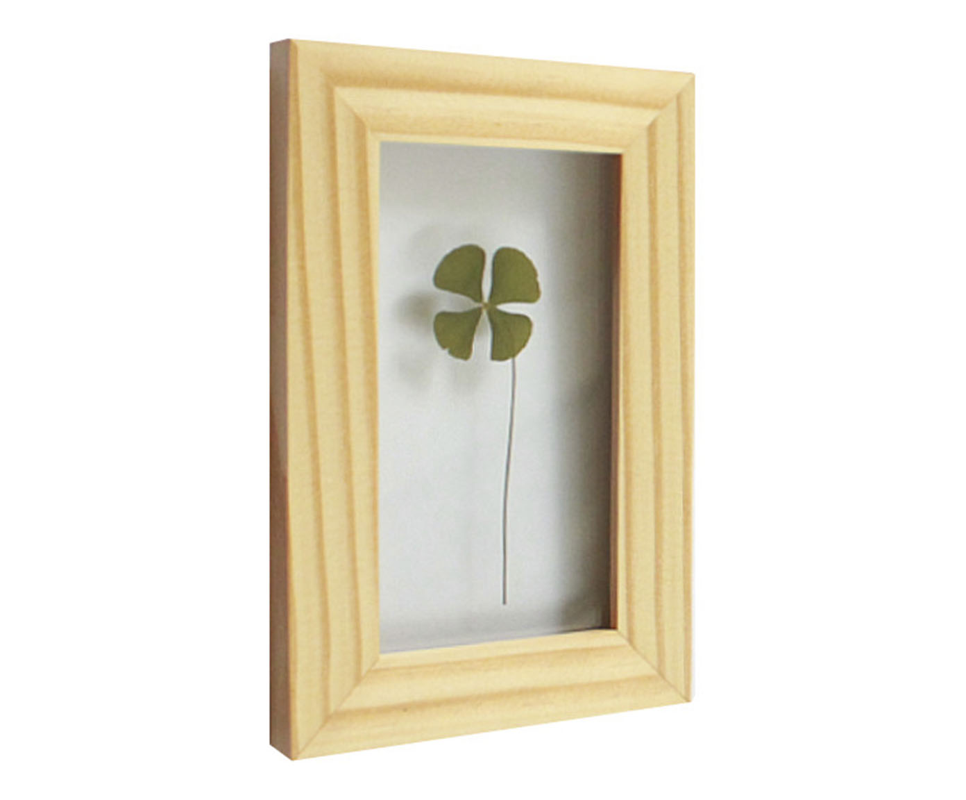 Quadro Trevo Pinus image number 1