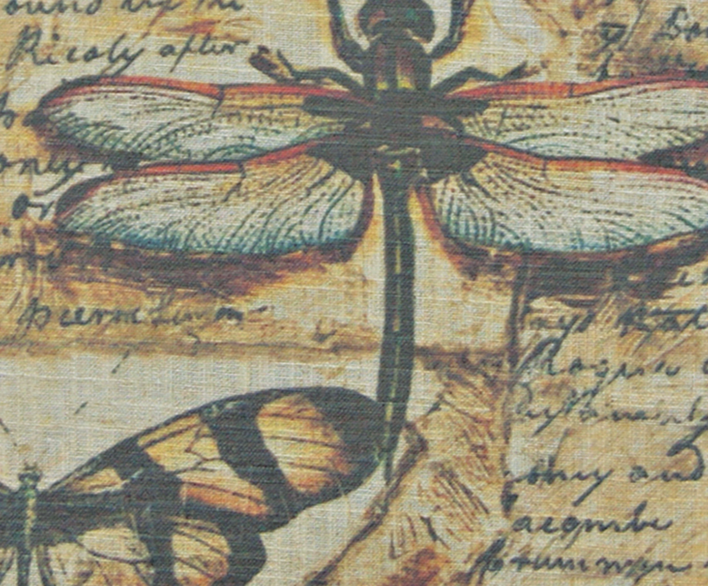 Tecido de Parede Dragonfly image number 1
