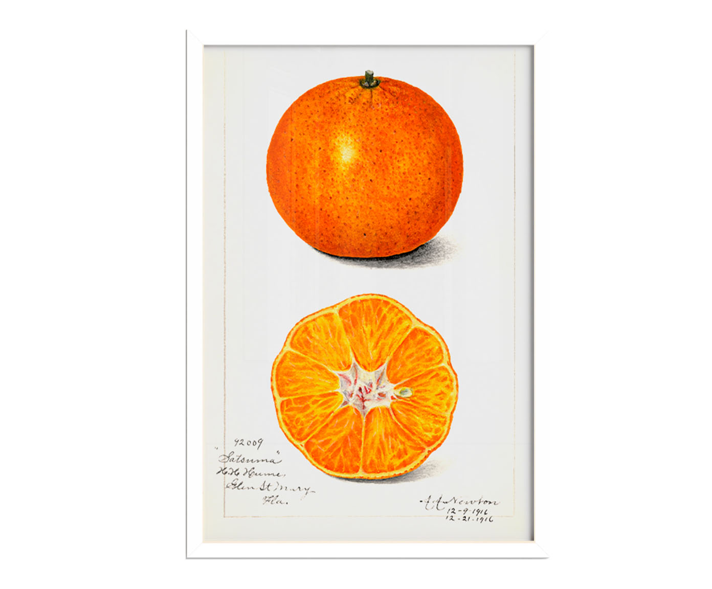 Quadro Laranja Vintage com Moldura Branca image number 0