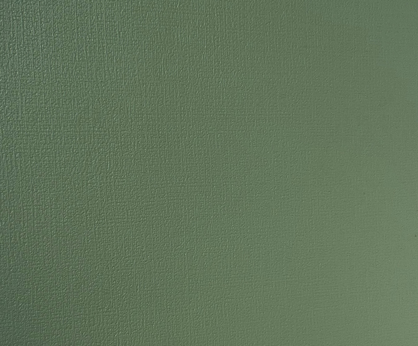 Lugar americano verde image number 2