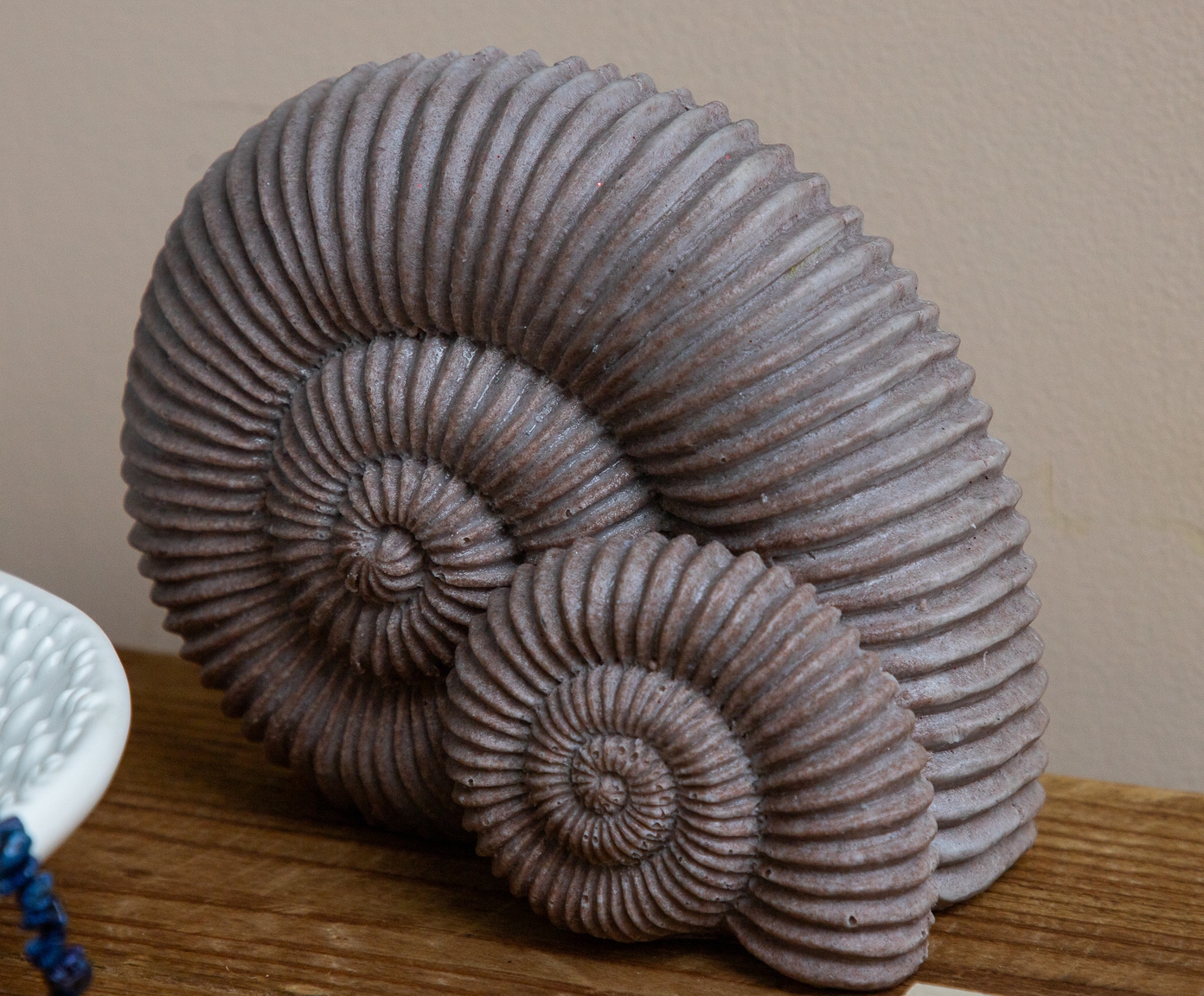 Adorno Decorativo Conchas Ammonite Cinza - image 1