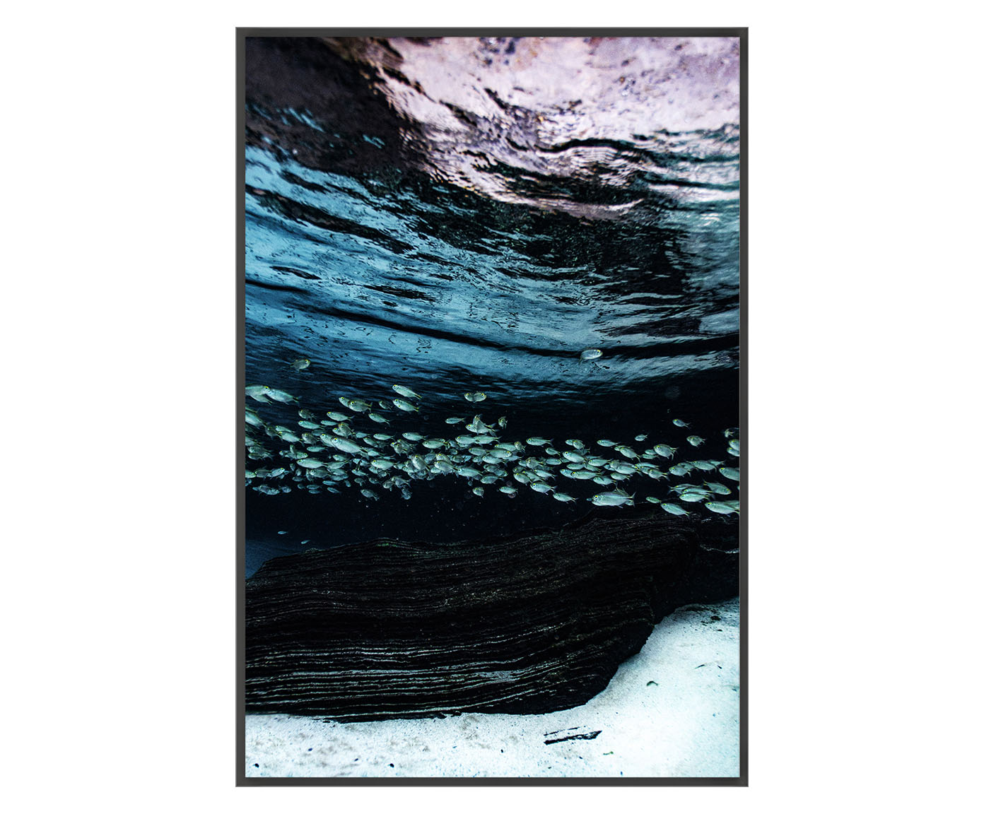 Quadro Peixes Ii - Reinaldo Giarola image number 0