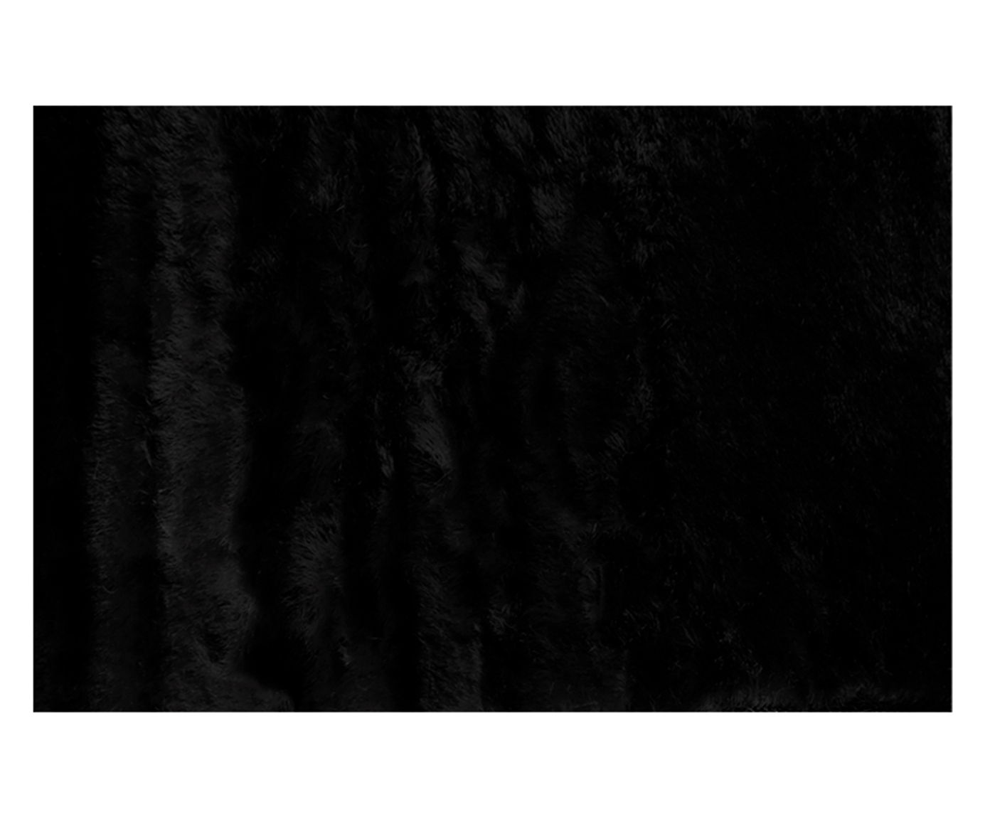 Tapete Hollambra Plus Preto image number 0