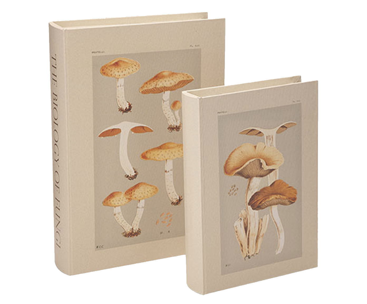 Jogo de Book Box em Canvas Jamil image number 0