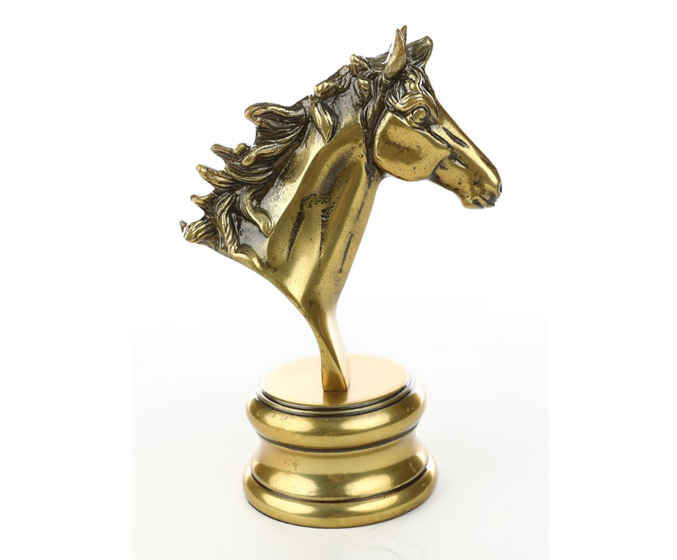 Decorativo Dorso Cavalo Dourado image number 2