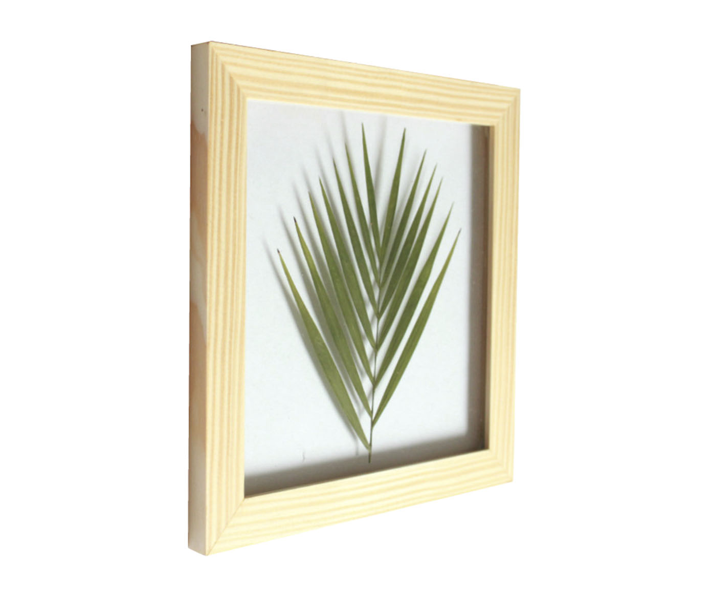 Quadro Palmeira Pinus image number 1