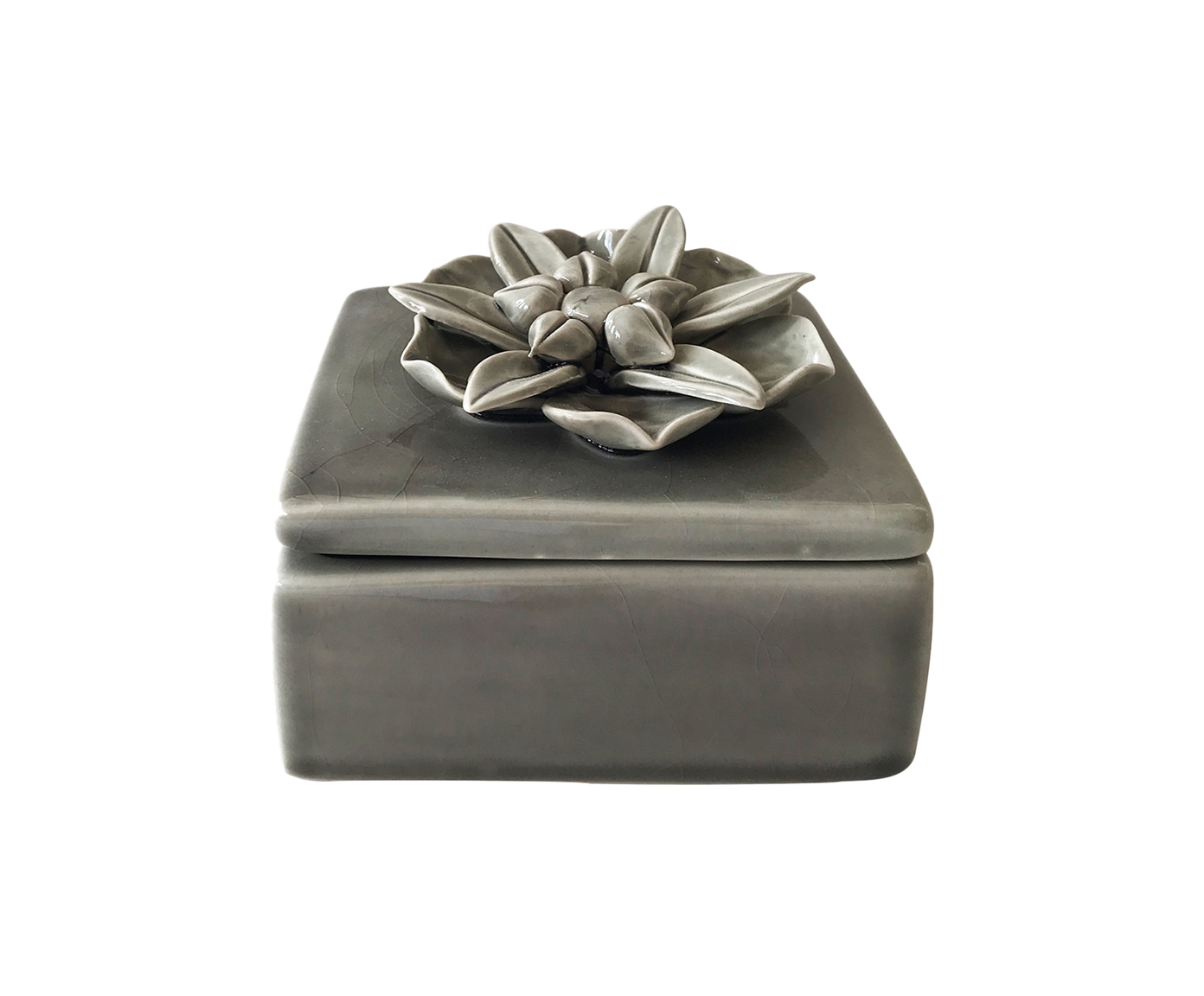 Pote Decorativo Ulmo image number 0