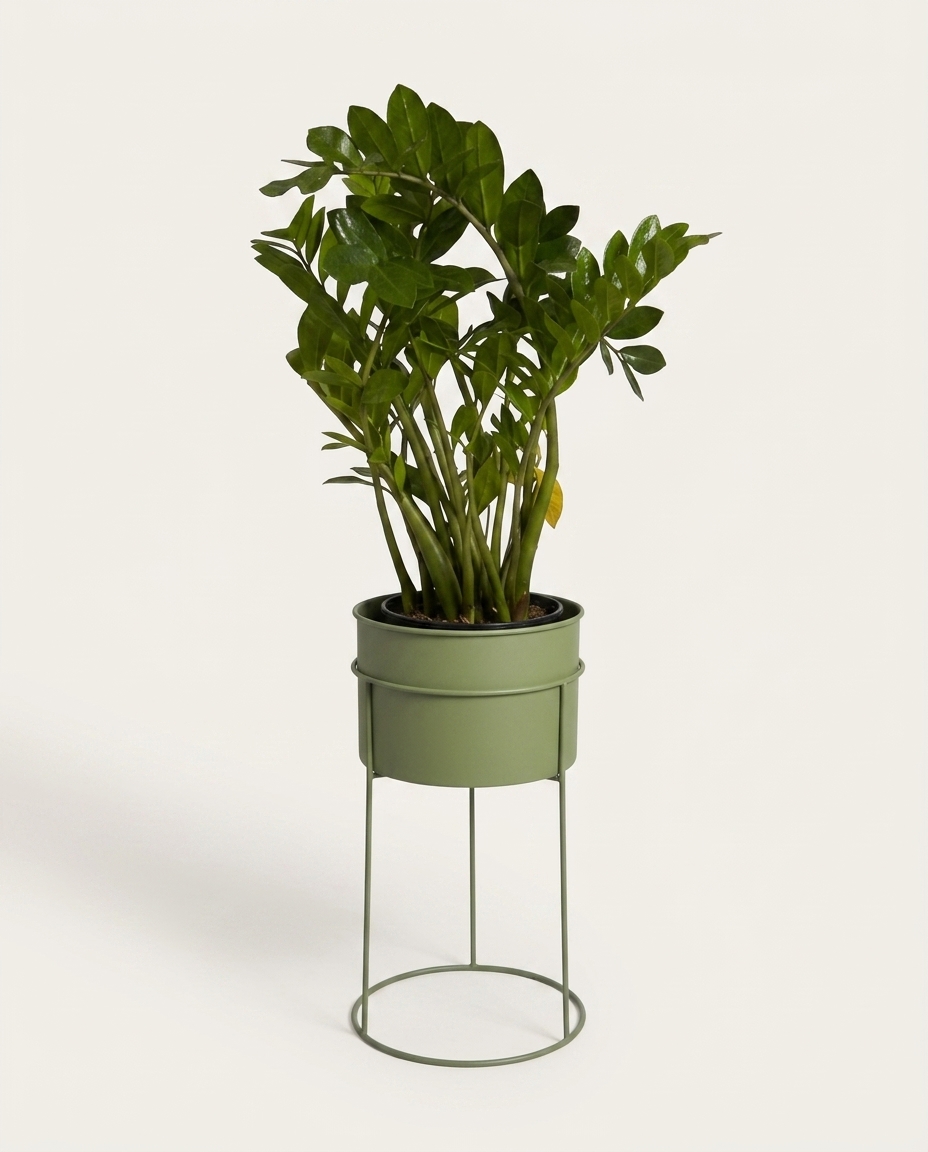Suporte de Plantas com Vaso Humait&aacute; Verde Oliva image number 8