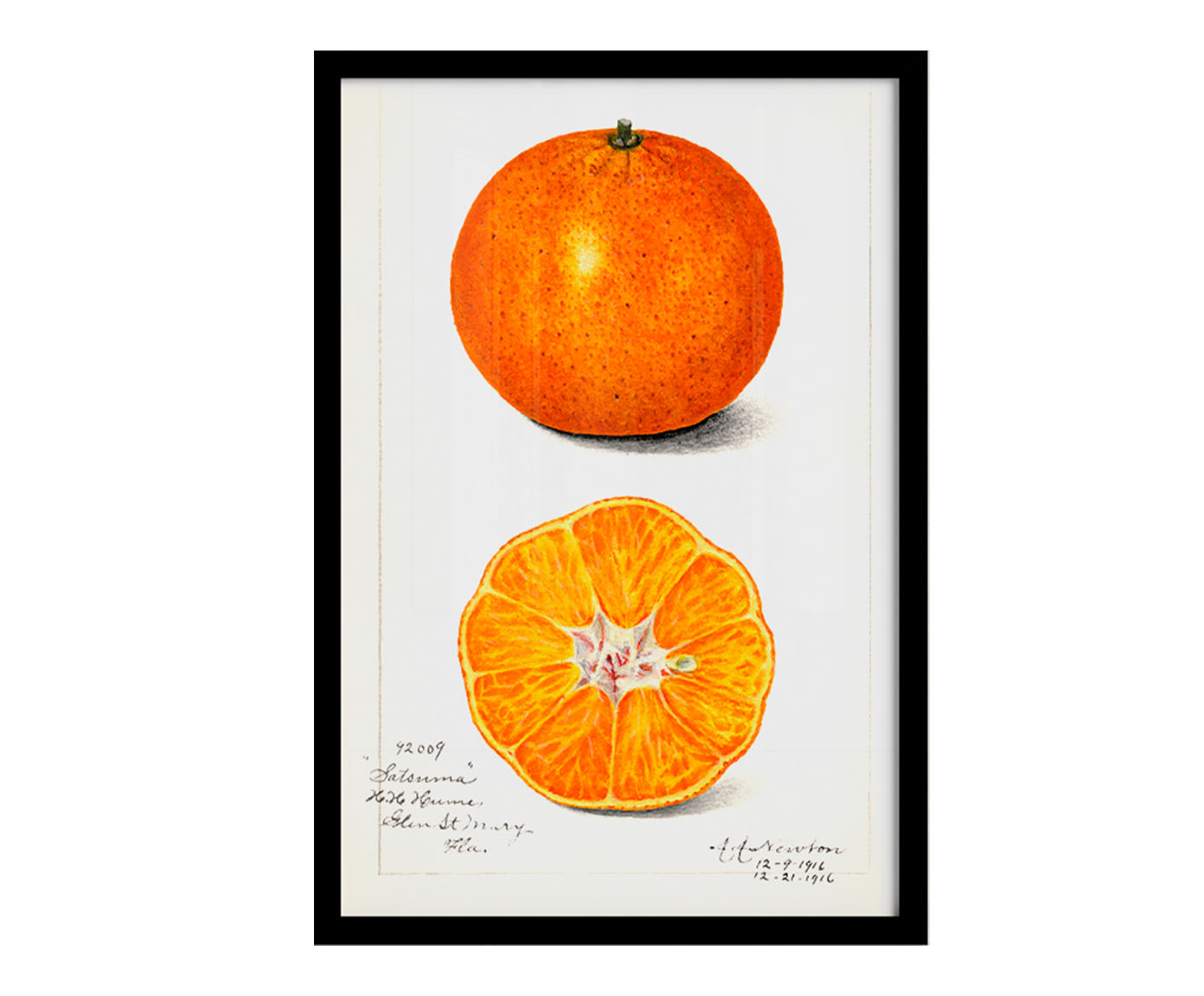 Quadro Laranja Vintage com Moldura Preta - image 0