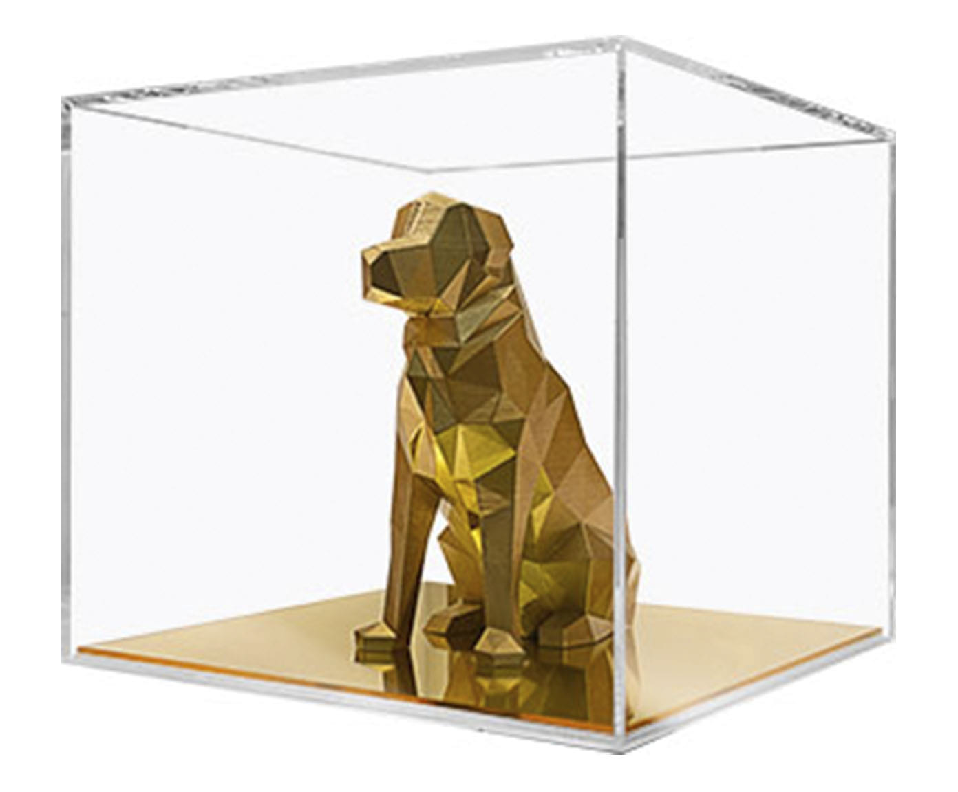 Golden Retriever Dourado - image 0