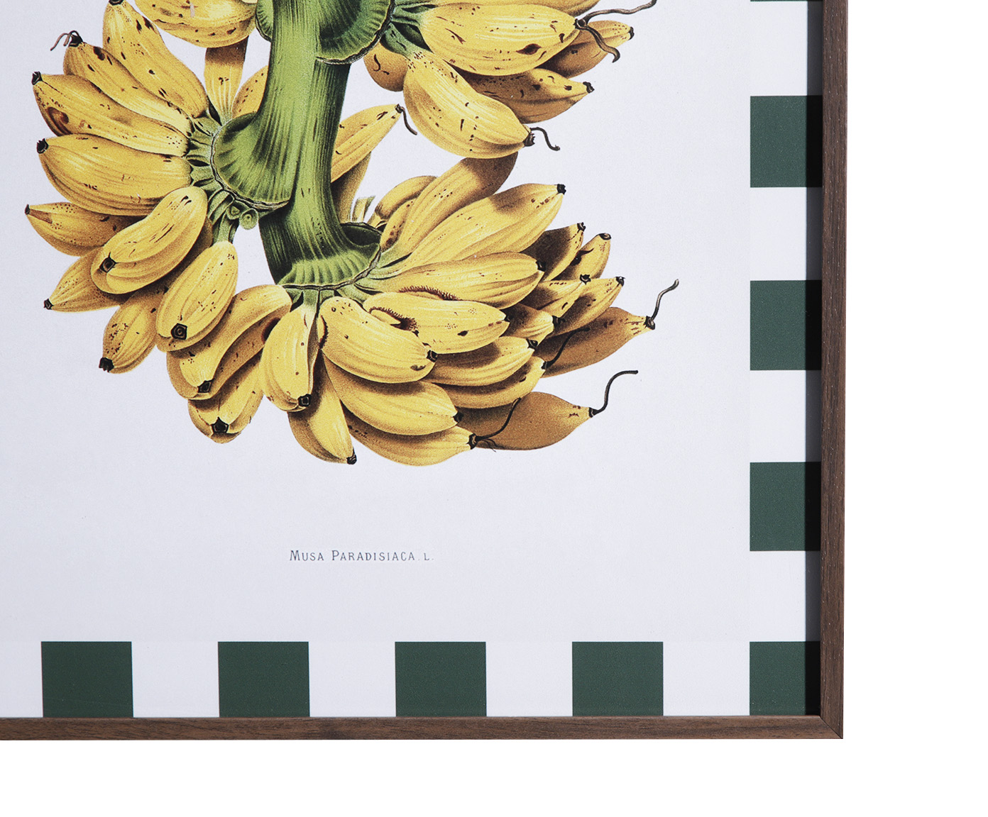 Quadro Decorativo Carmen image number 3