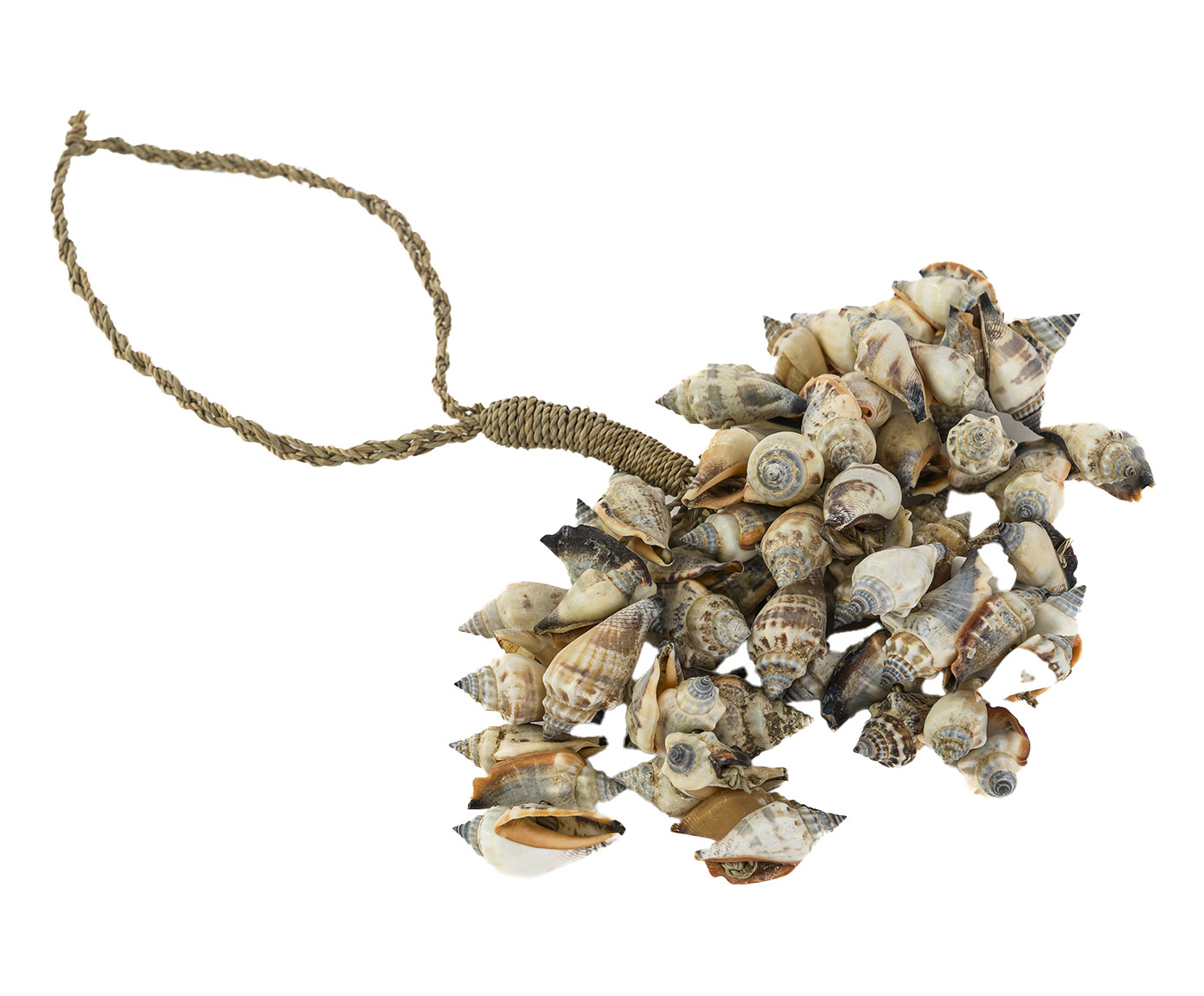 Adorno Decorativo Conchas Manay image number 0